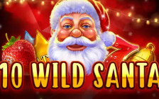10 Wild Santa