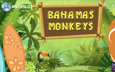 Bahamas Monkeys