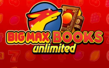 Big Max Books Unlimited
