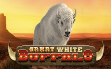 Great White Buffalo