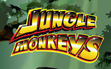 Jungle monkeys