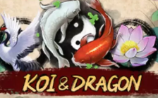 Koi and Dragon
