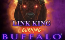 Link King Burning Buffalo