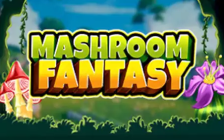 Mashroom Fantasy