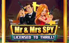 Mr and Mrs Spy