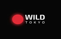 125% HighRoller-бонус за первый депозит в казино Wild Tokyo